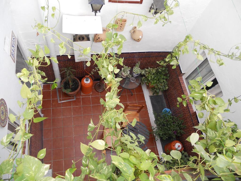 Pension Santa Maria La Blanca Siviglia Esterno foto